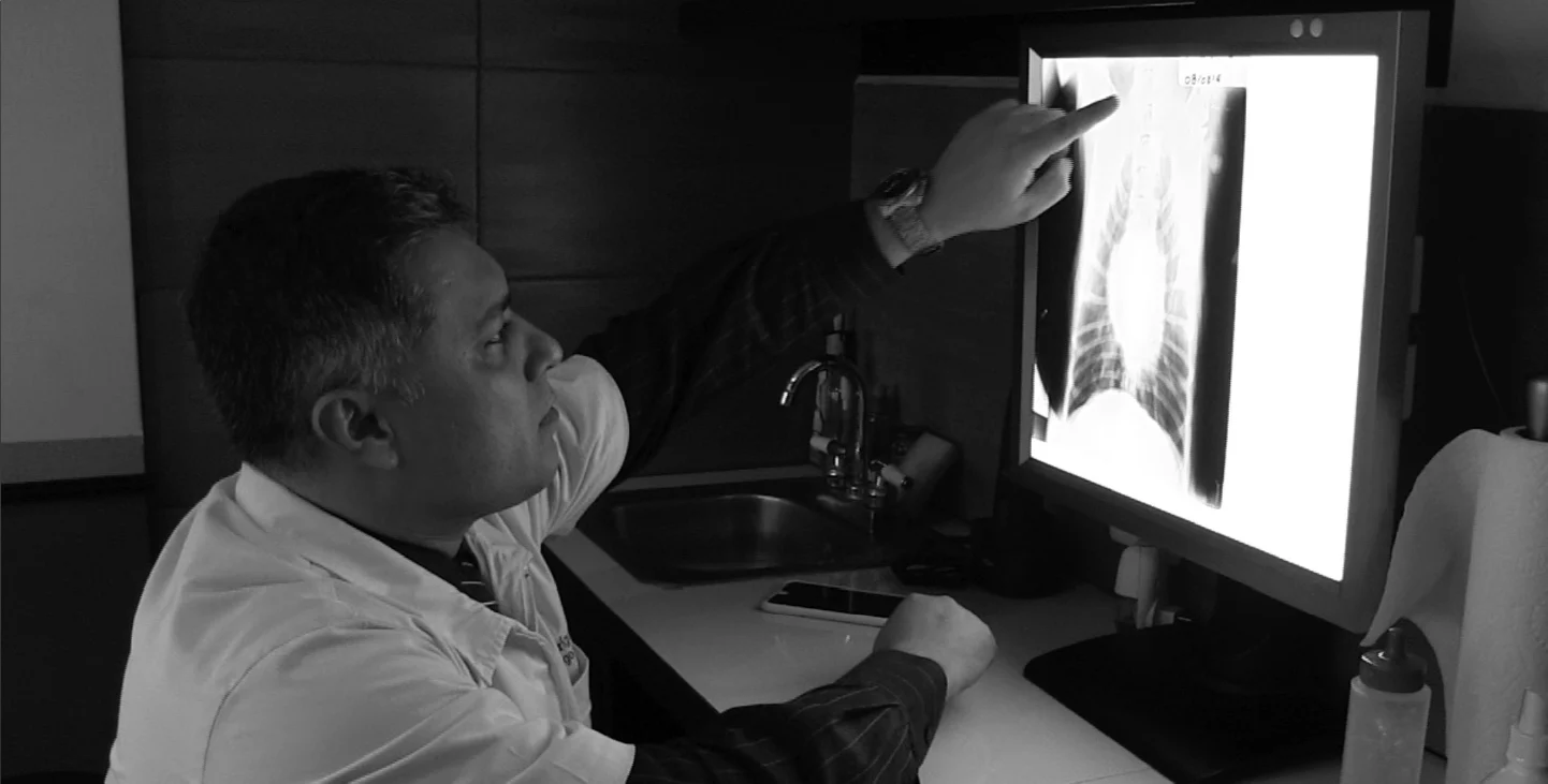 Médico veterinario radiólogo revisando una radiografía en un monitor