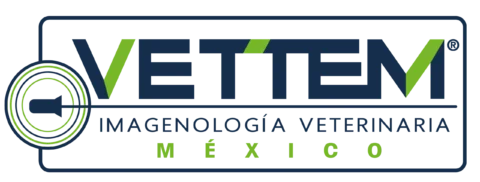VETTEM Imagenología Veterinaria México