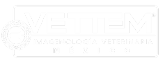 VETTEM Imagenología Veterinaria México